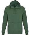 47101 Unisex Snake Hooded Sweatshirt Bottle Green colour image